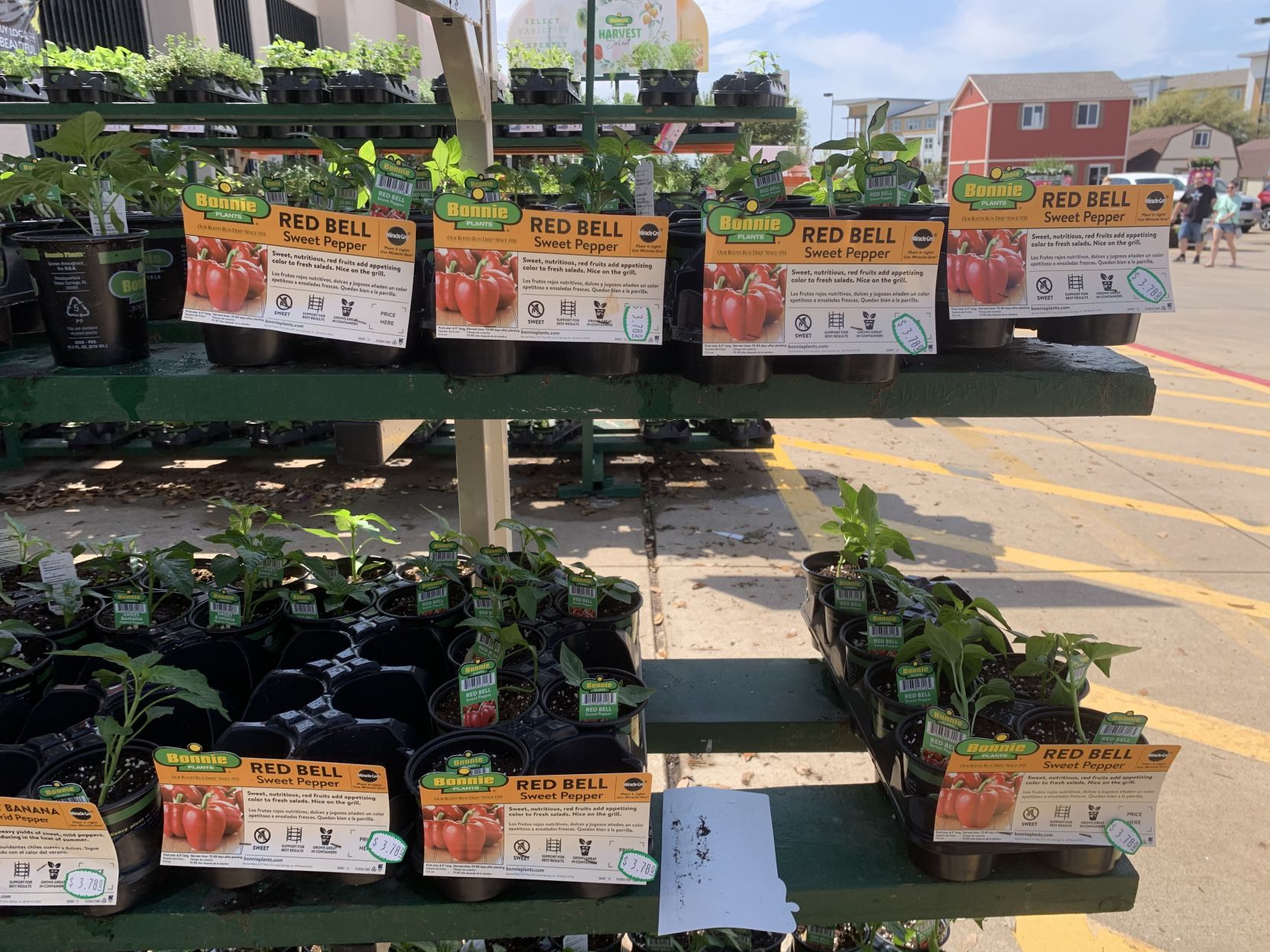 peppers